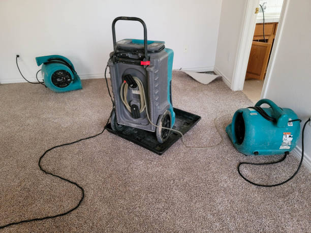 Best Sewage cleanup and water damage restoration  in Kiefer, OK