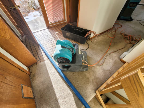 Best Water damage restoration near me  in Kiefer, OK