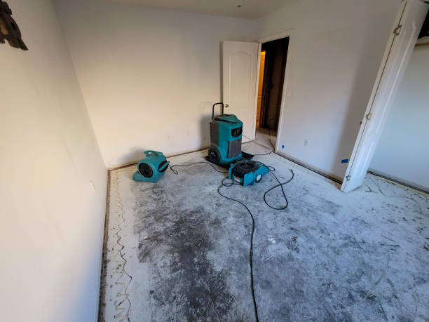 Best Local water damage restoration  in Kiefer, OK