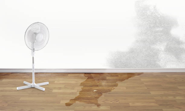 Best 24/7 water damage repair  in Kiefer, OK
