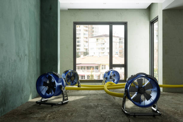 Best Professional water damage repair  in Kiefer, OK