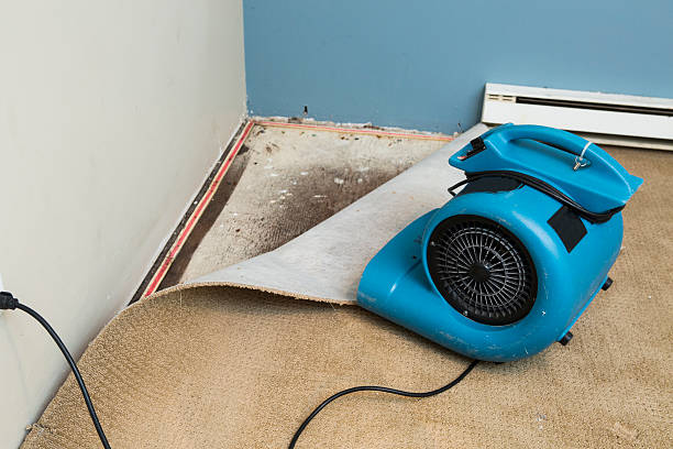 Best Commercial water damage restoration  in Kiefer, OK